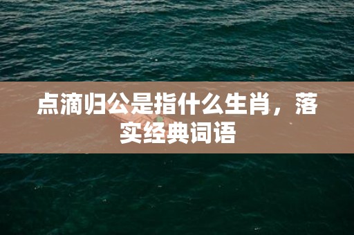 点滴归公是指什么生肖，落实经典词语