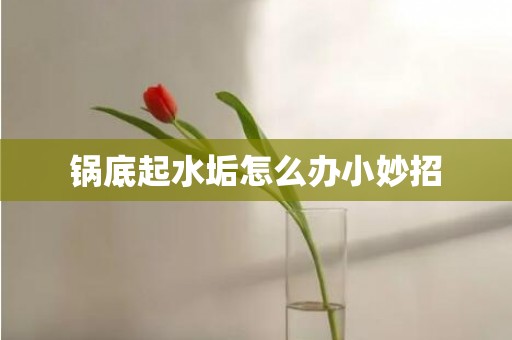 锅底起水垢怎么办小妙招