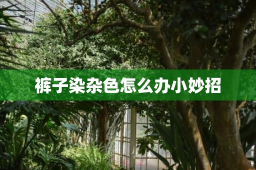 裤子染杂色怎么办小妙招