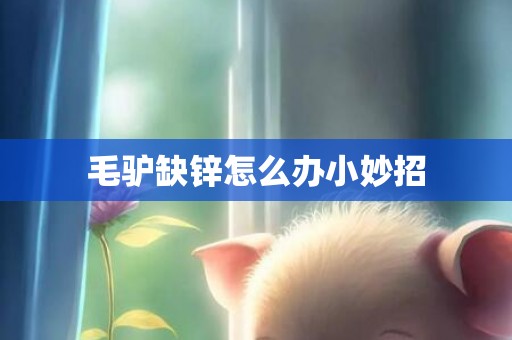 毛驴缺锌怎么办小妙招