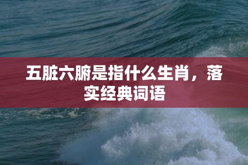 五脏六腑是指什么生肖，落实经典词语