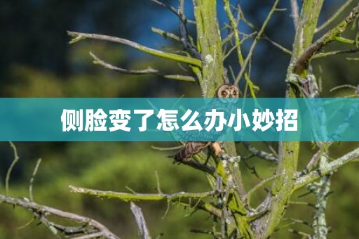 侧脸变了怎么办小妙招