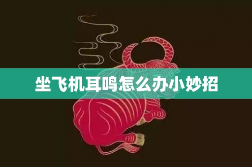 坐飞机耳鸣怎么办小妙招
