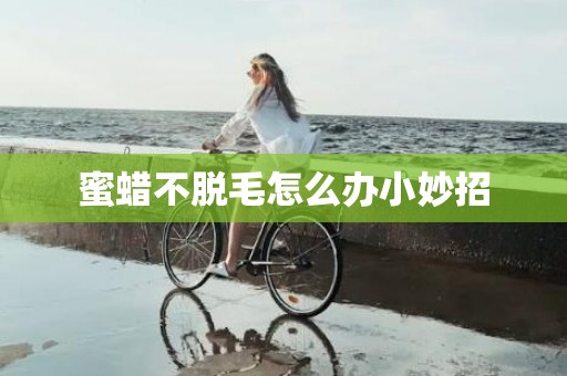蜜蜡不脱毛怎么办小妙招