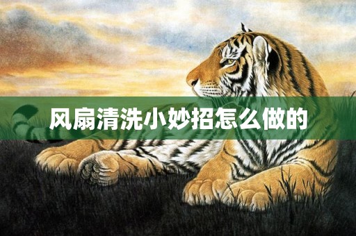 风扇清洗小妙招怎么做的