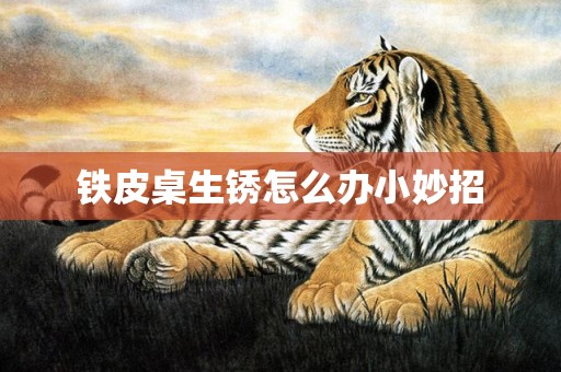 铁皮桌生锈怎么办小妙招