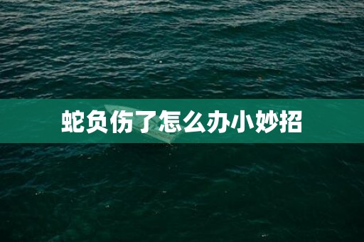 蛇负伤了怎么办小妙招