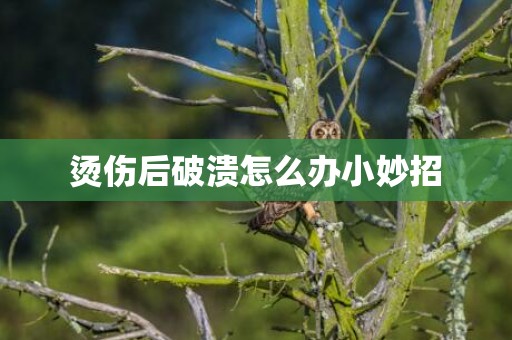 烫伤后破溃怎么办小妙招