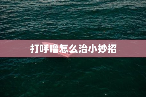 打呼噜怎么治小妙招