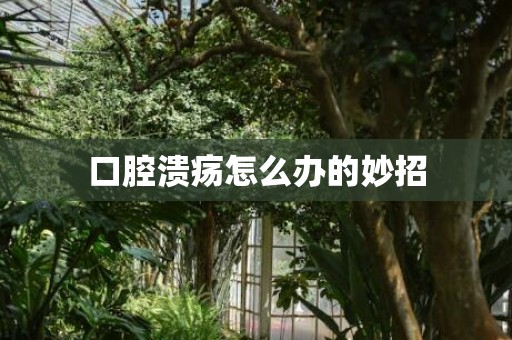 口腔溃疡怎么办的妙招