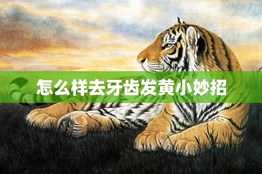 怎么样去牙齿发黄小妙招