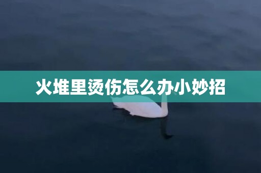 火堆里烫伤怎么办小妙招