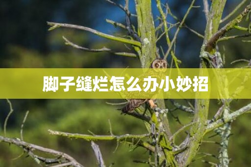 脚子缝烂怎么办小妙招