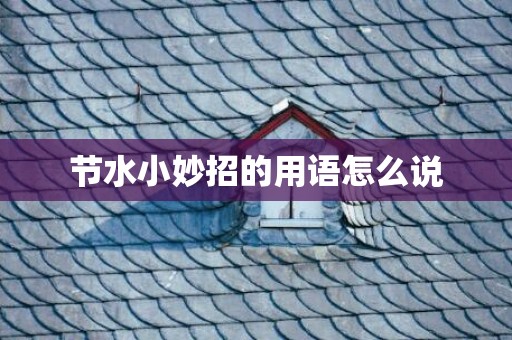 节水小妙招的用语怎么说