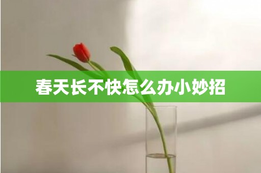 春天长不快怎么办小妙招