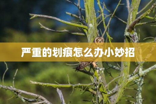严重的划痕怎么办小妙招