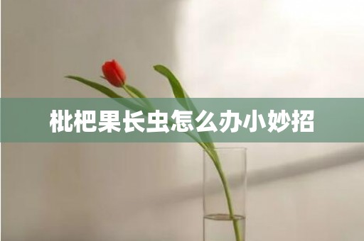 枇杷果长虫怎么办小妙招
