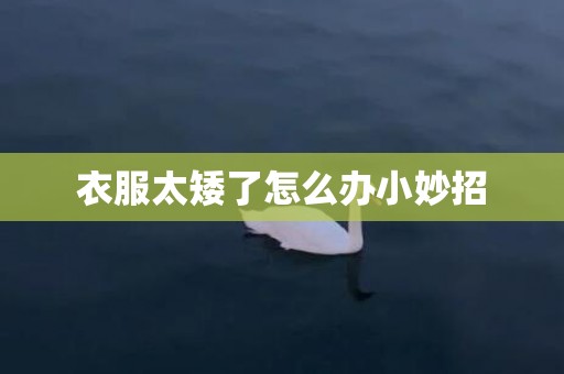 衣服太矮了怎么办小妙招