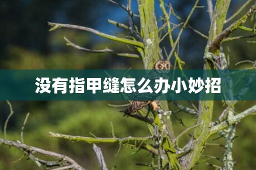 没有指甲缝怎么办小妙招