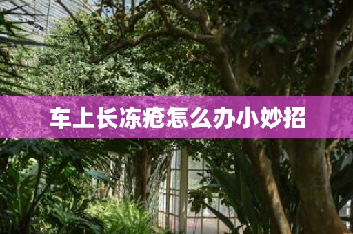 车上长冻疮怎么办小妙招
