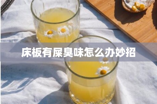 床板有屎臭味怎么办妙招