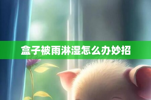 盒子被雨淋湿怎么办妙招