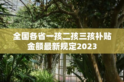 全国各省一孩二孩三孩补贴金额最新规定2023