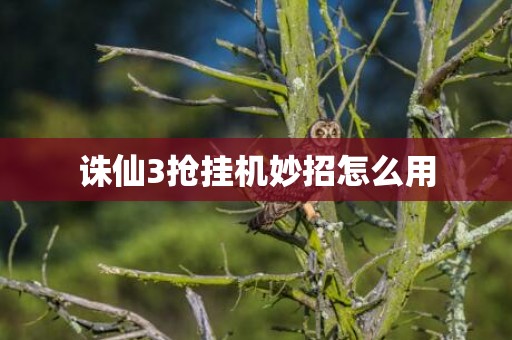 诛仙3抢挂机妙招怎么用
