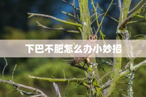 下巴不肥怎么办小妙招