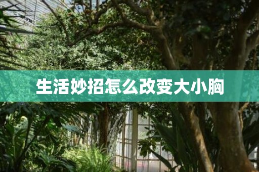 生活妙招怎么改变大小胸