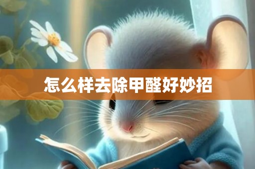 怎么样去除甲醛好妙招