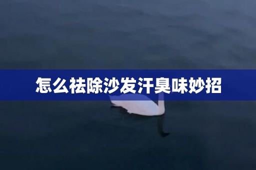 怎么祛除沙发汗臭味妙招