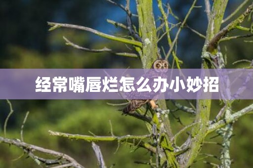 经常嘴唇烂怎么办小妙招