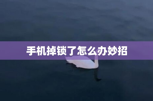 手机掉锁了怎么办妙招