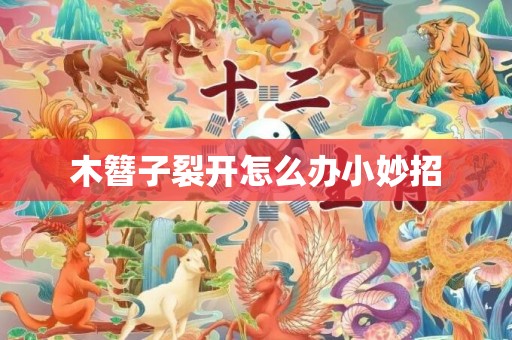 木簪子裂开怎么办小妙招
