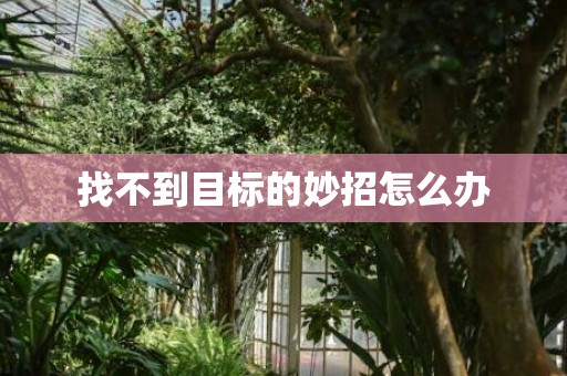 找不到目标的妙招怎么办