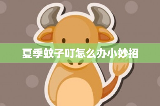 夏季蚊子叮怎么办小妙招