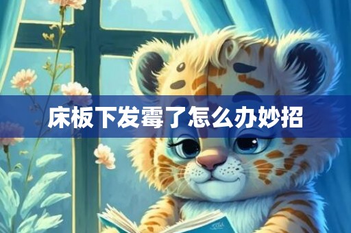 床板下发霉了怎么办妙招