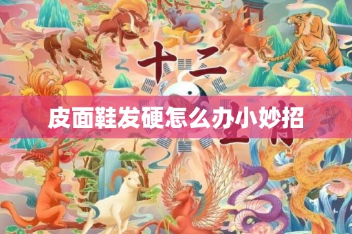 皮面鞋发硬怎么办小妙招