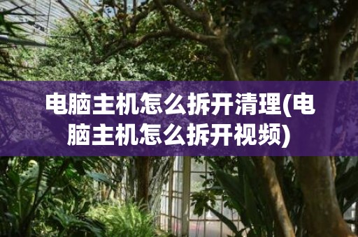 电脑主机怎么拆开清理(电脑主机怎么拆开视频)
