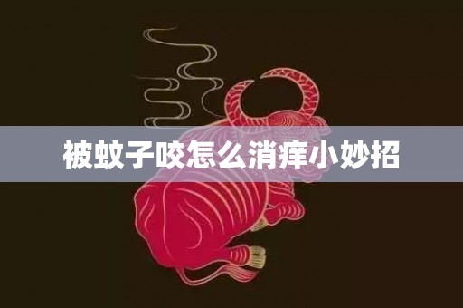被蚊子咬怎么消痒小妙招
