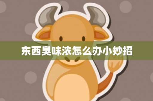 东西臭味浓怎么办小妙招