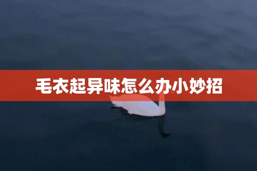 毛衣起异味怎么办小妙招