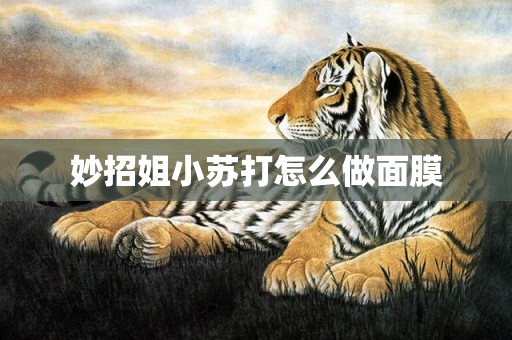 妙招姐小苏打怎么做面膜
