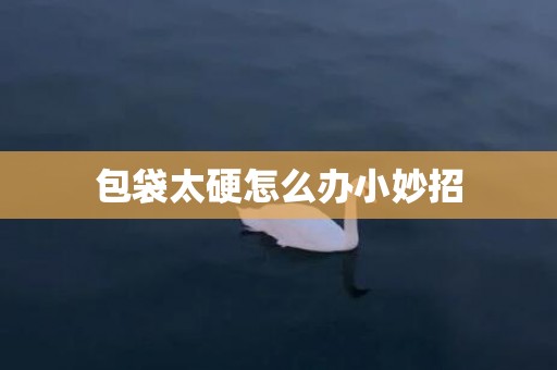 包袋太硬怎么办小妙招