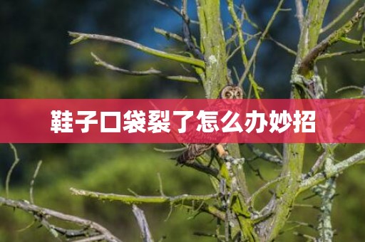 鞋子口袋裂了怎么办妙招