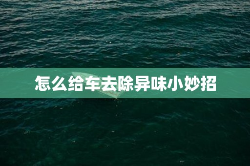 怎么给车去除异味小妙招