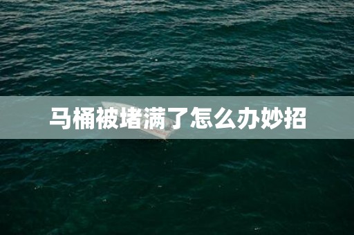 马桶被堵满了怎么办妙招