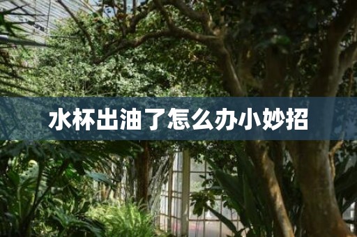 水杯出油了怎么办小妙招