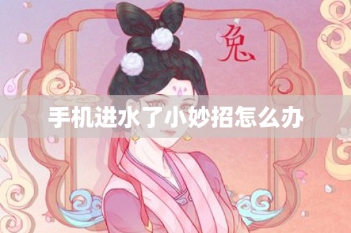 手机进水了小妙招怎么办